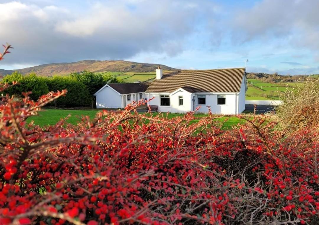 Cathleen'S Cottage Newry Exteriér fotografie