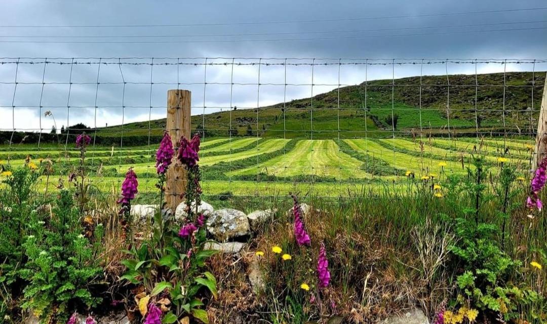 Cathleen'S Cottage Newry Exteriér fotografie